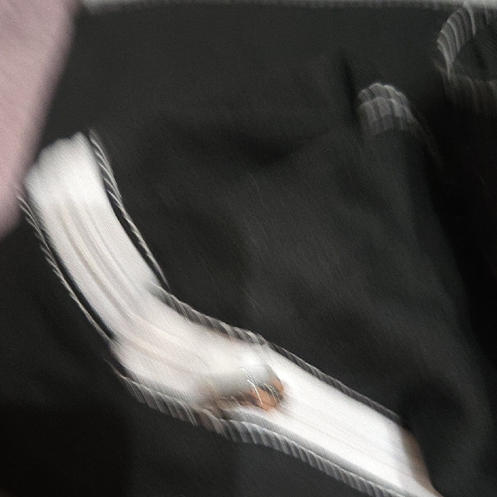 Black and White Cargo Pants with Contrast Stitching - Picture 7 of 10